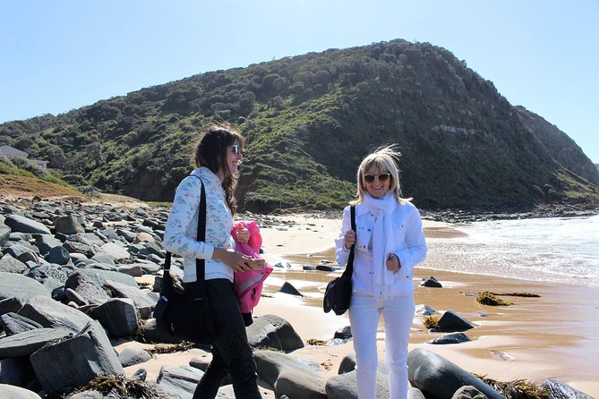 Royal National Park Private Tour - Price and value: what $401.66 per person covers