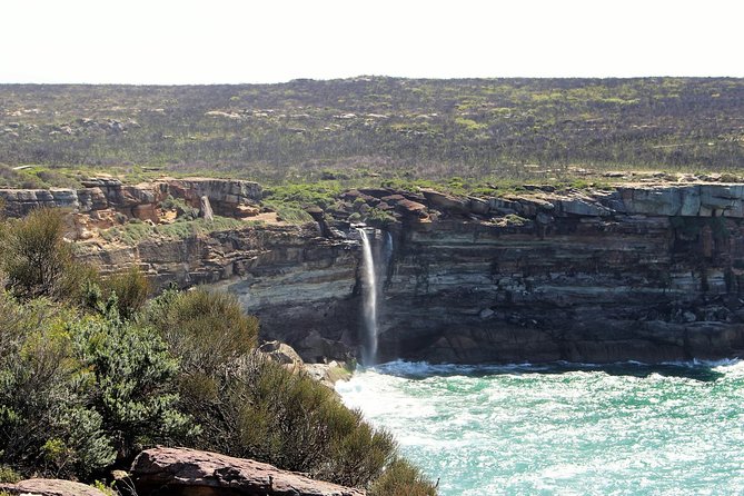 Royal National Park Private Tour - Wedding Cake Rock coastal track: views plus a real walk