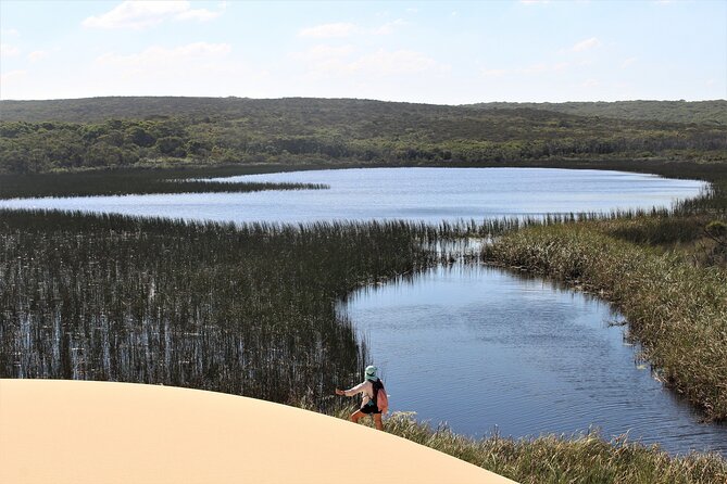 Royal National Park Private Tour - Wattamolla waterfall and lagoon: where the pace eases