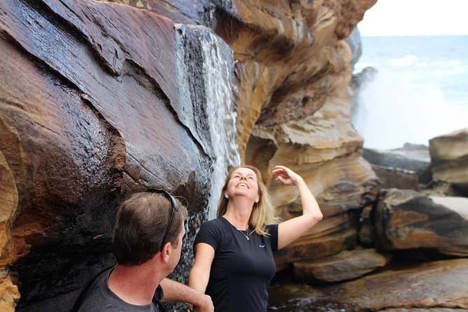 Royal National Park Private Tour - The day starts early, then builds into classic coastal hits