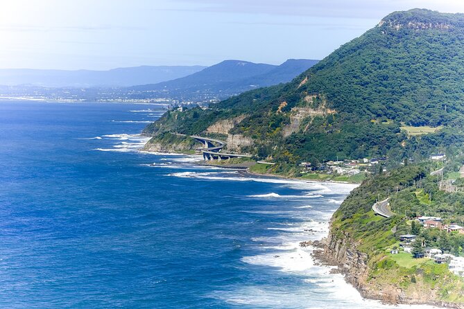 Sea Cliff Bridge, Kiama Blowhole, Beaches & Wildlife Small Group - Key things that make this day trip work