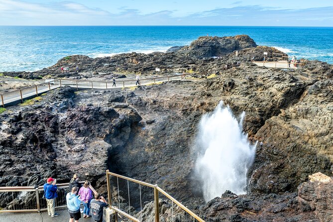 Sea Cliff Bridge, Kiama Blowhole, Beaches & Wildlife Small Group - Sea Cliff Bridge, the Grand Pacific Drive icon on your schedule