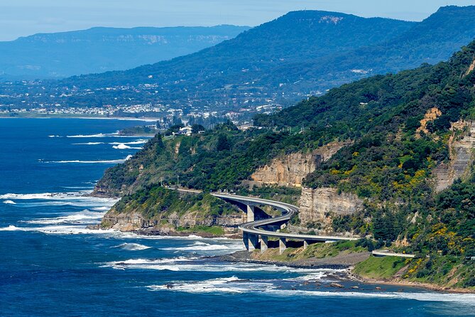 Sea Cliff Bridge, Kiama Blowhole, Beaches & Wildlife Small Group - Bald Hill Lookout and the hang gliding view, early in the day