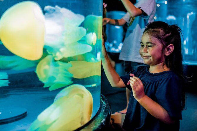 SEA LIFE Sydney Aquarium Entrance Ticket - Dugong Island and Shark Valley: the exhibits that reward patience