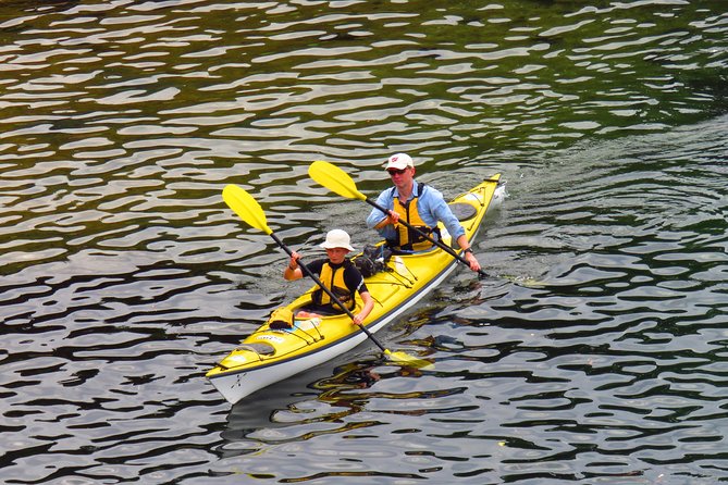 Self-Guided Sydney Middle Harbour Kayak 3 Hour Tour by Double Kayak - Meeting at Mosman: Easy Start, No Hotel Runaround