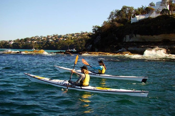 Self-Guided Sydney Middle Harbour Kayak 3 Hour Tour by Single Kayak - Key highlights to know before you book
