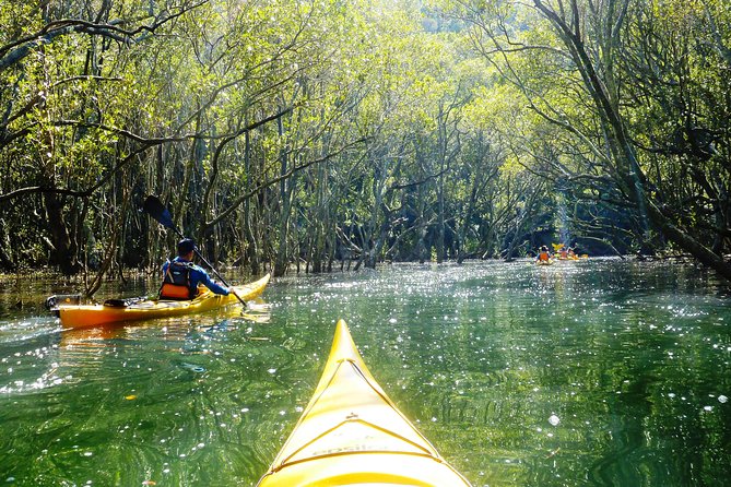 Self-Guided Sydney Middle Harbour Kayak 3 Hour Tour by Single Kayak - Middle Harbour by kayak, set your own pace