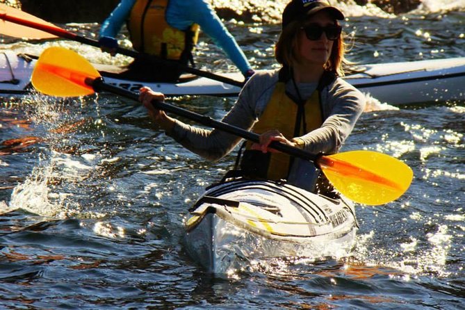 Self-Guided Sydney Middle Harbour Kayak 3 Hour Tour by Single Kayak - What you actually get for $60.97: real value checks