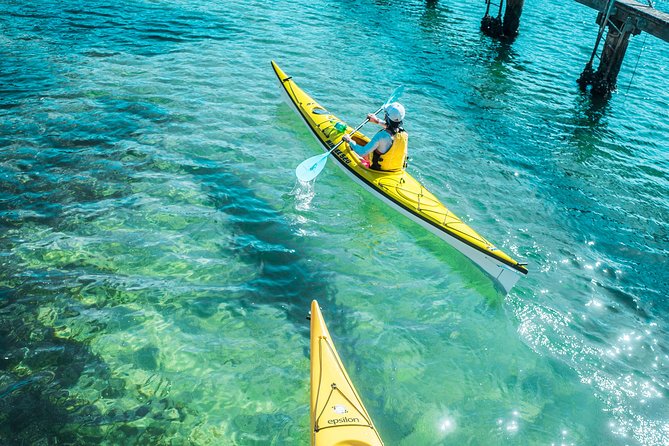 Self-Guided Sydney Middle Harbour Kayak 3 Hour Tour by Single Kayak - Your kayak setup in Mosman: gear, stability, and storage