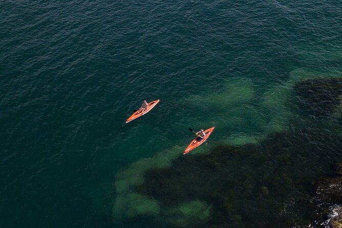 Single Kayak Hire - 4 Hours - Learning the basics before you paddle: instruction that actually matters