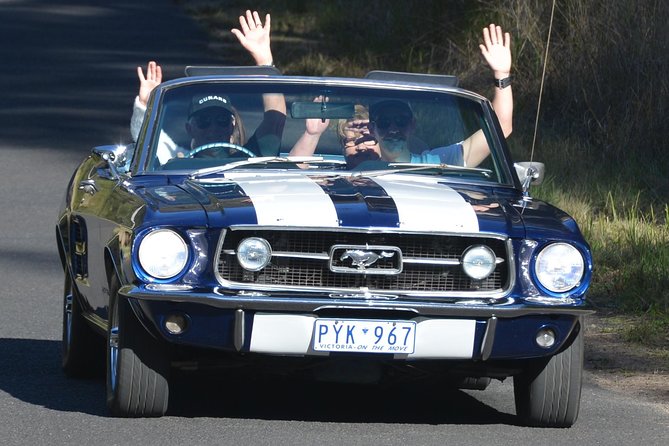 Six-Bridges-of-Sydney-Vintage-Car-Ride-Experience - Harbour Bridge and Opera House sightlines from an open-top classic