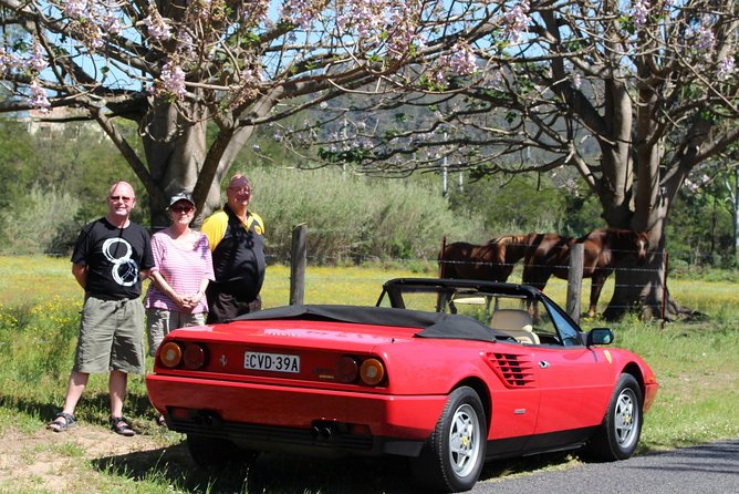 Six-Bridges-of-Sydney-Vintage-Car-Ride-Experience - Anzac and Gladesville Bridge panoramas that make the route feel complete
