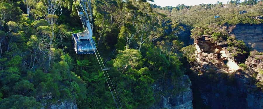 Small Group Blue Mountains, Wildlife & Scenic World Day Tour - Price and value of a $147 day trip