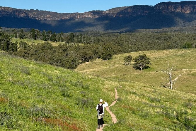 Small Group Hunter Valley Wine Tour + Lunch, Gin & Choc ex Sydney - Practical Tips for Your 11 to 12 Hour Day