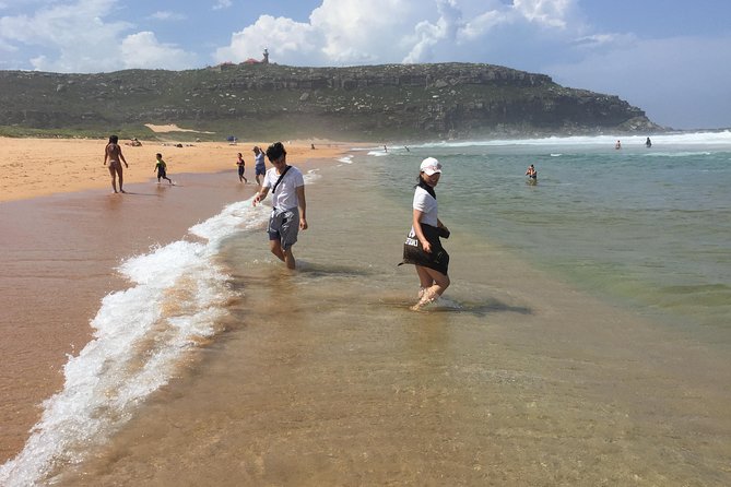 Small-Group Sydney's Northern Beaches & Ku-ring-gai Park Tour - North Narrabeen Beach and the Lakeside Wildlife Feel