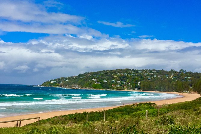 Small-Group Sydney's Northern Beaches & Ku-ring-gai Park Tour - Long Reef Point: 40 km Views and Whale Season Possibilities