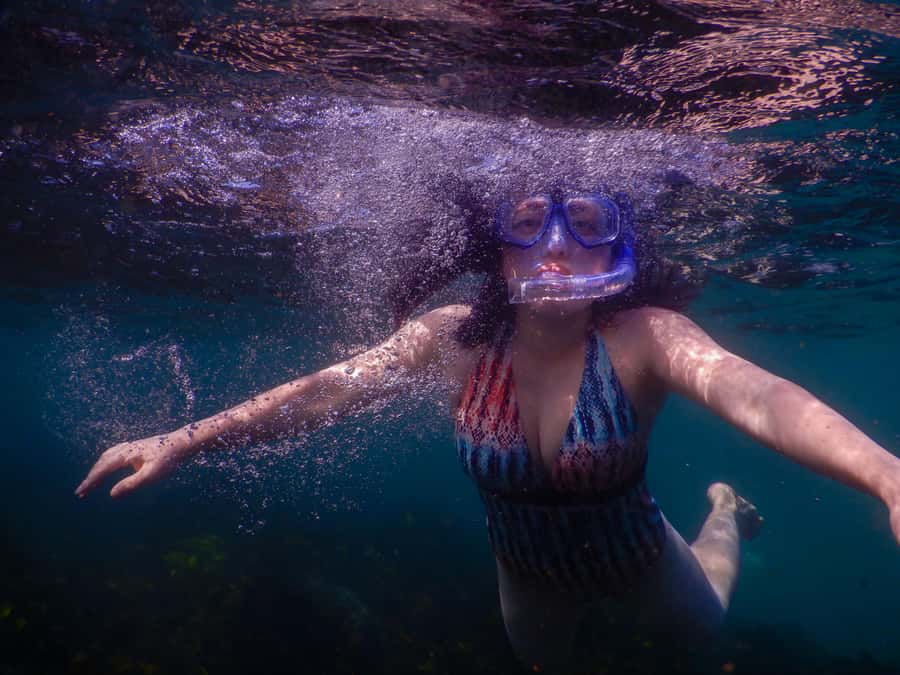 Snorkel Sydney’s Stunning Marine Reserve on a Private Tour - The private format: you go at your pace, not the group’s