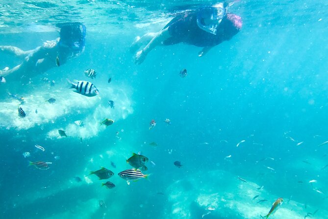 Snorkeling Adventure for Kids with Private Guide In Sydney - Price and value: is $143.09 per person worth it?