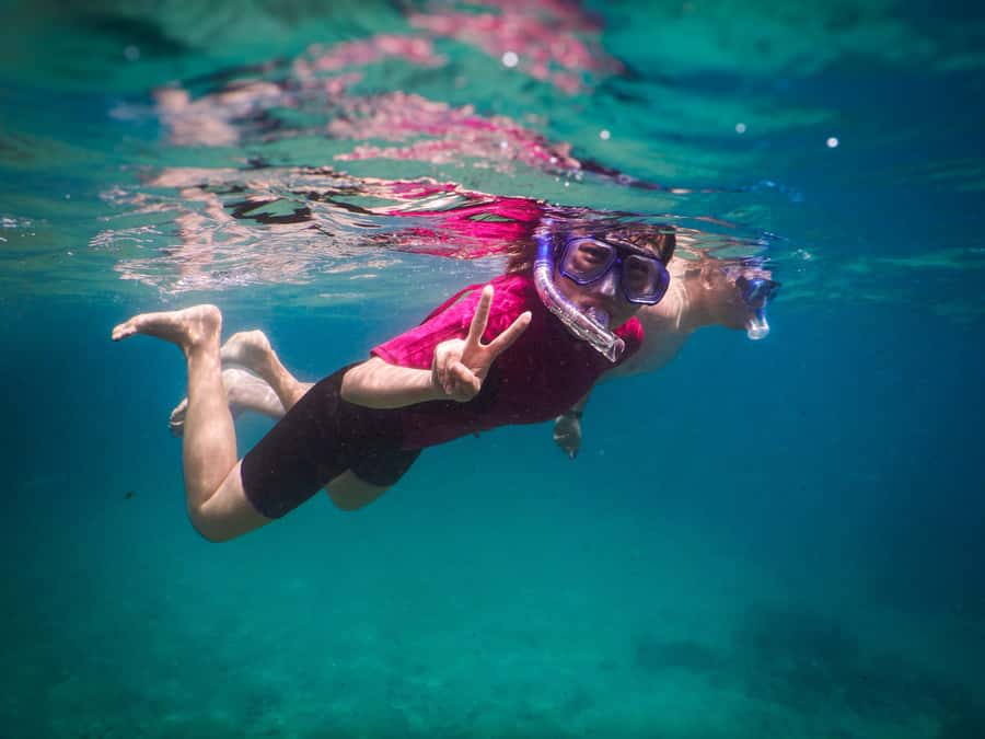 Snorkeling Tour: Discover Sydney’s impressive sea life - Guides make the difference, and you will notice it fast