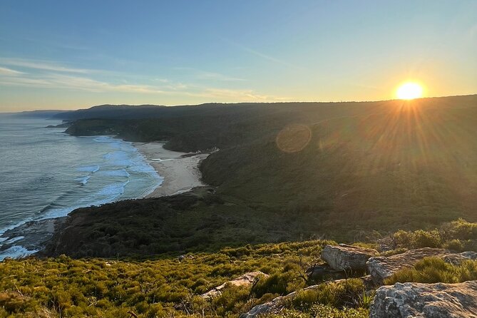 South Coast Private Tour & Royal National Park Inc - Wattamolla Beach and Garie Beach Inside Royal National Park