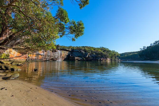 South Coast Private Tour & Royal National Park Inc - Royal National Park Drive, Old Australia Meets Big Ocean Views