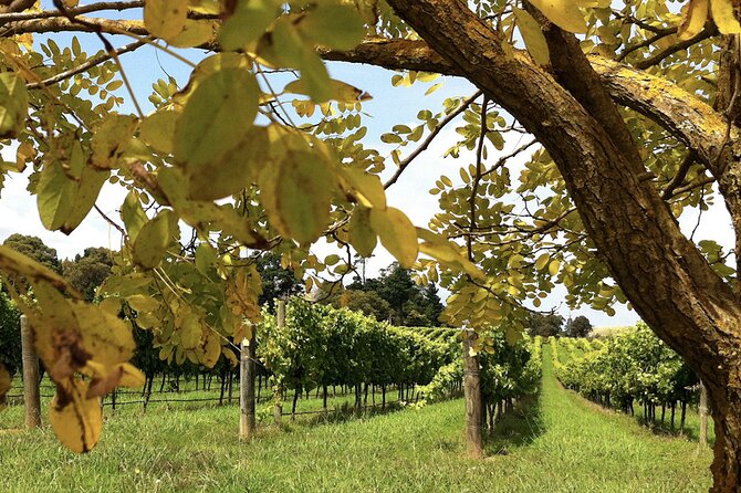 Southern Highlands Private Tour with Wine, Waterfall and Garden - A 10-hour private Southern Highlands escape with hotel pickup
