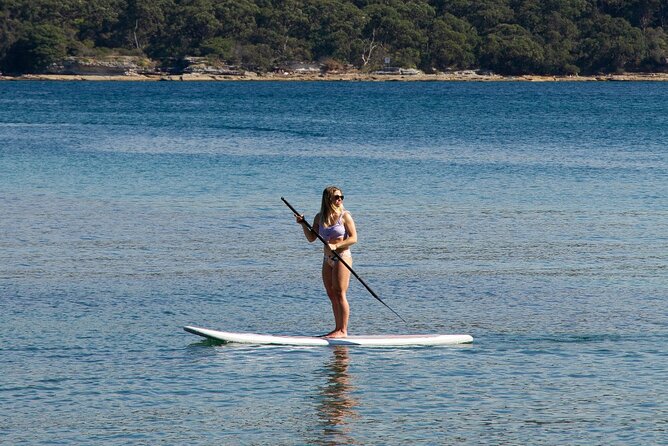 Stand Up Paddle Board Hire - 2 Hours - The First Steps on the Board: What Coaching Usually Covers