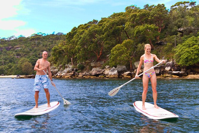 Stand Up Paddle Board Hire - 2 Hours - Value for Money: Why the Price Makes Sense for 2 Hours