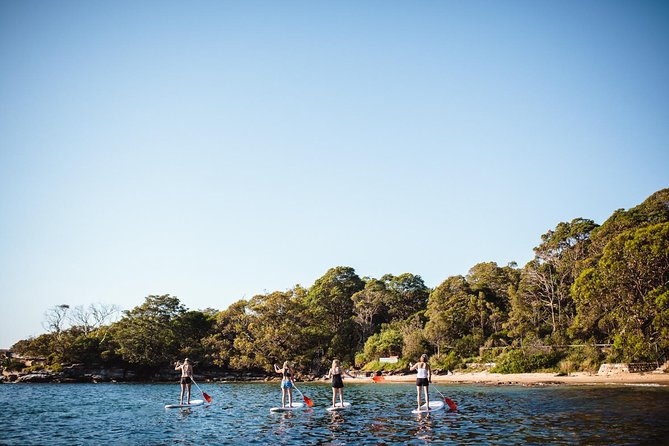 Stand Up Paddle Board Hire - 2 Hours - Time on the Water: 2 Hours Feels Just Right