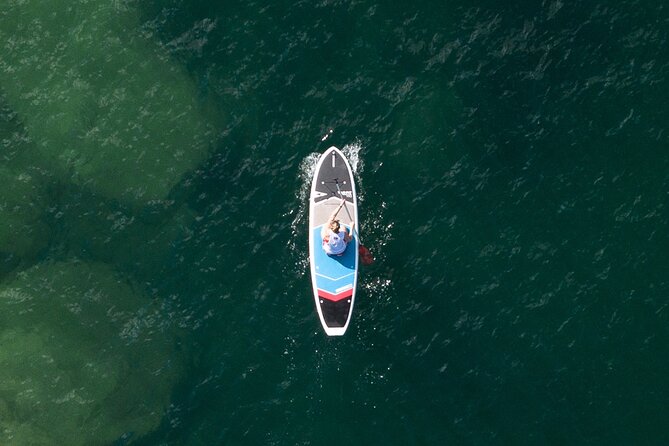 Stand Up Paddle Board Hire - 2 Hours - The Boards: Stability Built for Beginners