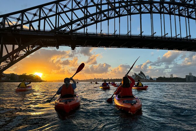 Sunrise Paddle Session on Syndey Harbour (single kayak) - Key highlights