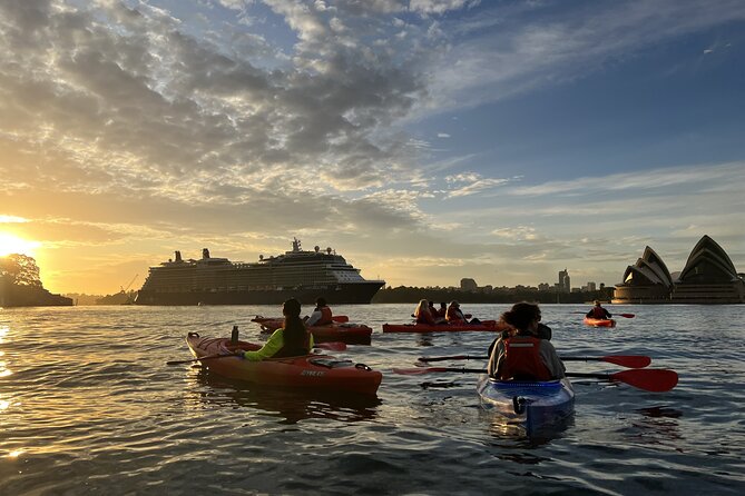 Sunrise Paddle Session on Syndey Harbour (single kayak) - Harbour Bridge at sunrise: timing the view with the light