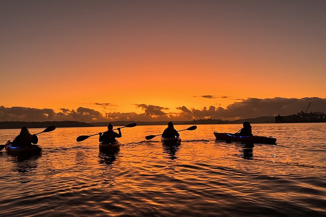 Sunrise Paddle Session on Syndey Harbour (single kayak) - Neutral Bay and Luna Park: the side of Sydney most people miss