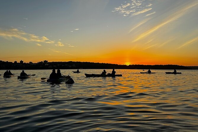 Sunrise Serenity Kayak Tour of Sydney Harbour - Who This Tour Fits Best