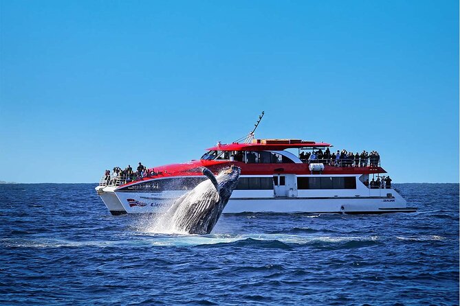 Sunset and Sparkle Sydney Harbour Cruise - Who should book this Sydney Harbour sunset cruise