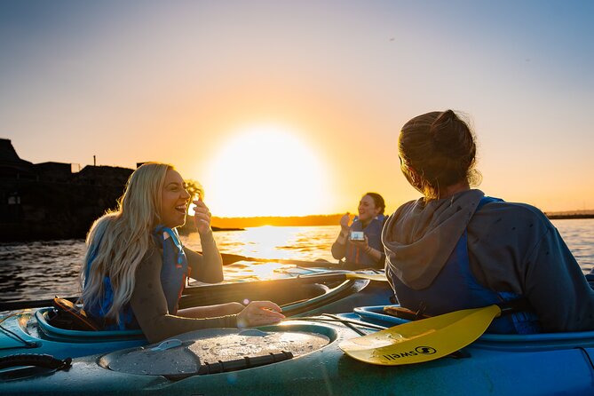 Sunset Harbour Bridge Kayak Escape - Safety Briefing and Guide Quality That Changes Everything