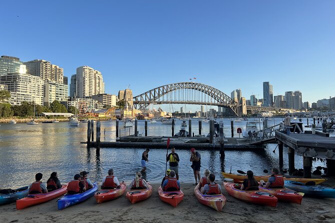 Sunset Paddle Session on Sydney Harbour (single kayak) - Stop 4: Luna Park From the Kayak, Up Close to the Fun
