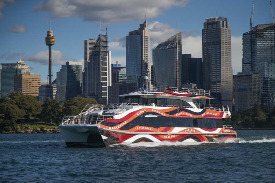 Sydney: 2-hour Express Whale Watching Cruise - Who This Cruise Fits Best, Families, First-Timers, and Anyone Prone to Motion Sickness