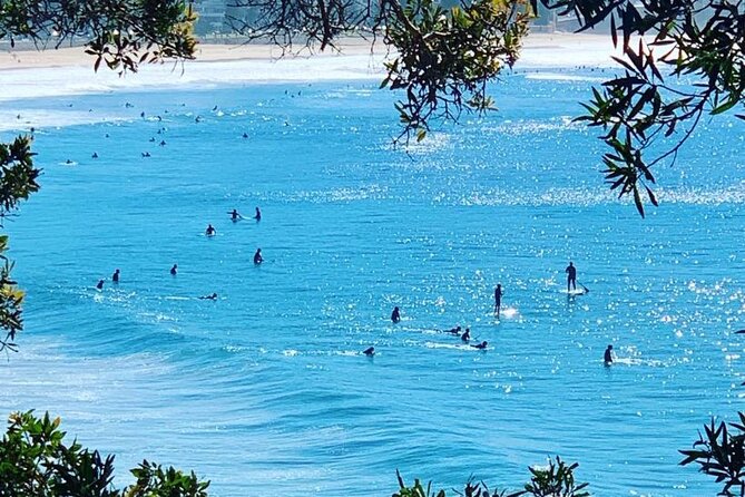 Sydney 6 Hour Private Tour - Optional Ku-Ring-Gai National Park, food tastings, and art themes