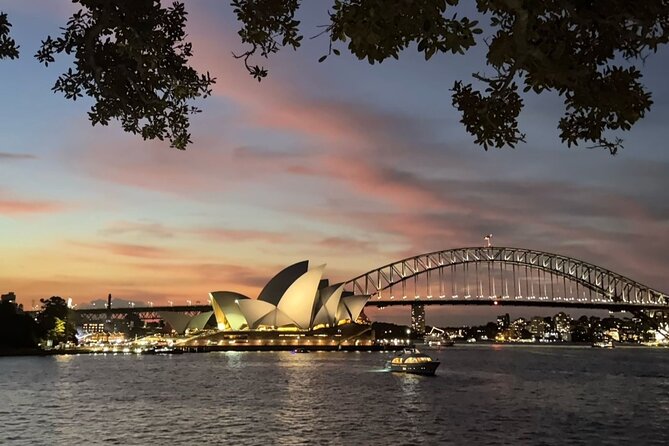 Sydney: 90-Minute Panoramic Big Bus Night Tour - Who this tour is best for
