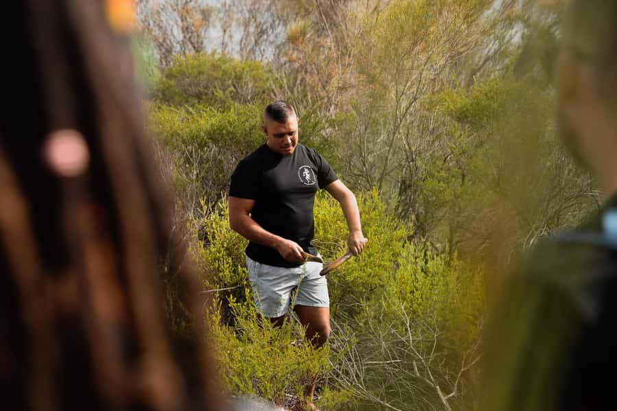 Sydney: Aboriginal Walking Tour with Smoking Ceremony - Ku-ring-gai Chase: whale engravings, America Bay, and West Head views