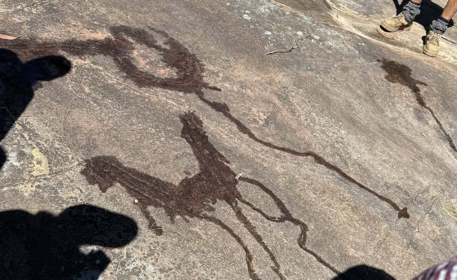 Sydney: Aboriginal Walking Tour with Smoking Ceremony - Who should book this tour, and who should skip