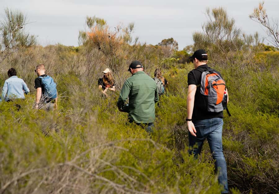 Sydney: Aboriginal Walking Tour with Smoking Ceremony - Choosing Your Sydney Route: Ku-ring-gai Chase, Royal National Park, or La Perouse