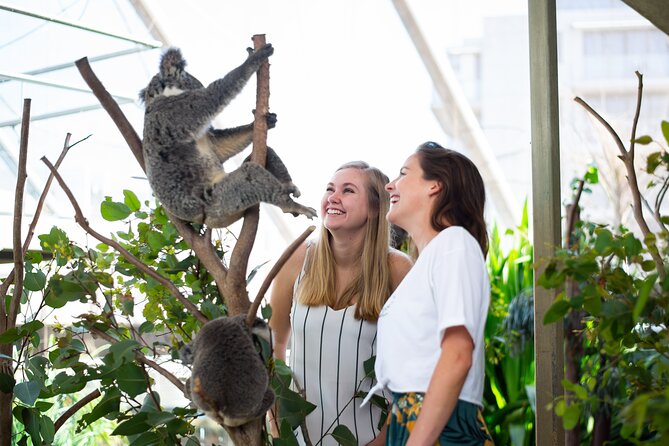 Sydney Attractions Pass: SEA LIFE Aquarium, Sydney Tower Eye, WILD LIFE Zoo and Madame Tussauds - SEA LIFE Sydney Aquarium Tunnels, Reef Zones, and Big Marine Displays
