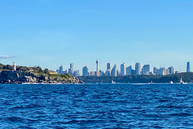 Sydney Beaches Half Day Drive and Walk Tour - Watsons Bay finish: seafood or pub time, then decide ferry or drive back
