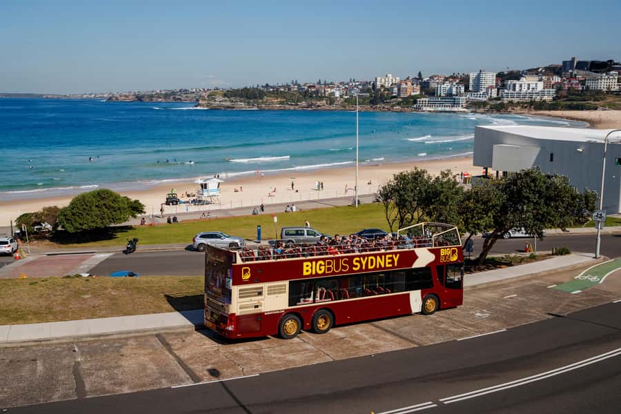 Sydney: Big Bus Hop-On Hop-Off Tour with Optional Cruise - Key things to know before you ride
