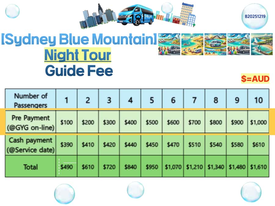 Sydney Blue Mountain Night Tour - A realistic look at the experience