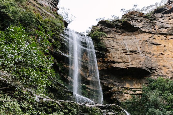 Sydney Blue Mountains Day Tour with Wildlife Park and Waterfalls - A smart day plan: wildlife first, then World Heritage views