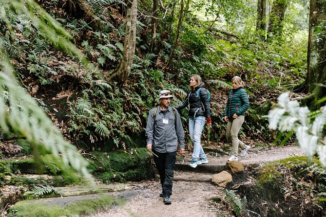 Sydney Blue Mountains Day Tour with Wildlife Park and Waterfalls - Pickup in central Sydney and how the 9.5 hours plays out