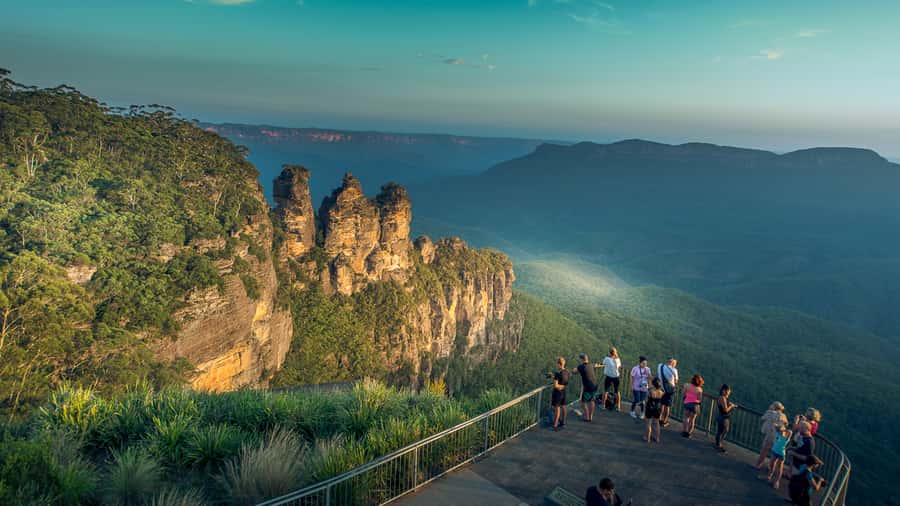 Sydney: Blue Mountains Late Start: Walks, Wildlife & Dinner - Calmsley Hill City Farm: Koalas, Kangaroos, and a Hands-On Moment